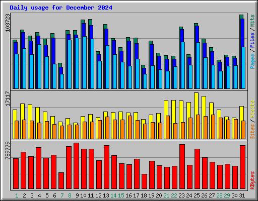 Daily usage for December 2024