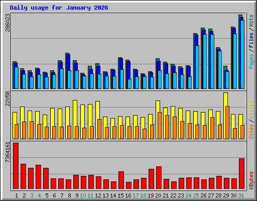 Daily usage for January 2026