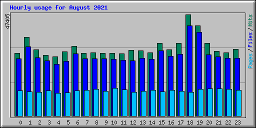 Hourly usage for August 2021