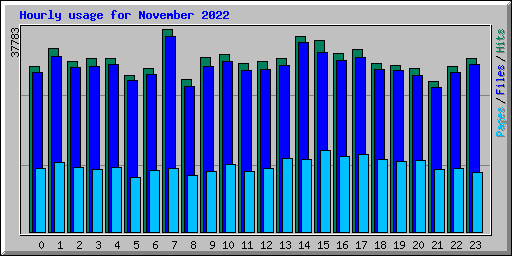 Hourly usage for November 2022