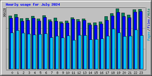 Hourly usage for July 2024