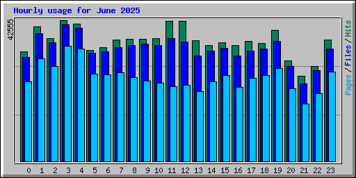 Hourly usage for June 2025
