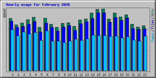 Hourly usage for February 2026